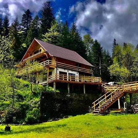 Cabana Cota 1000 Арьешени Экстерьер фото