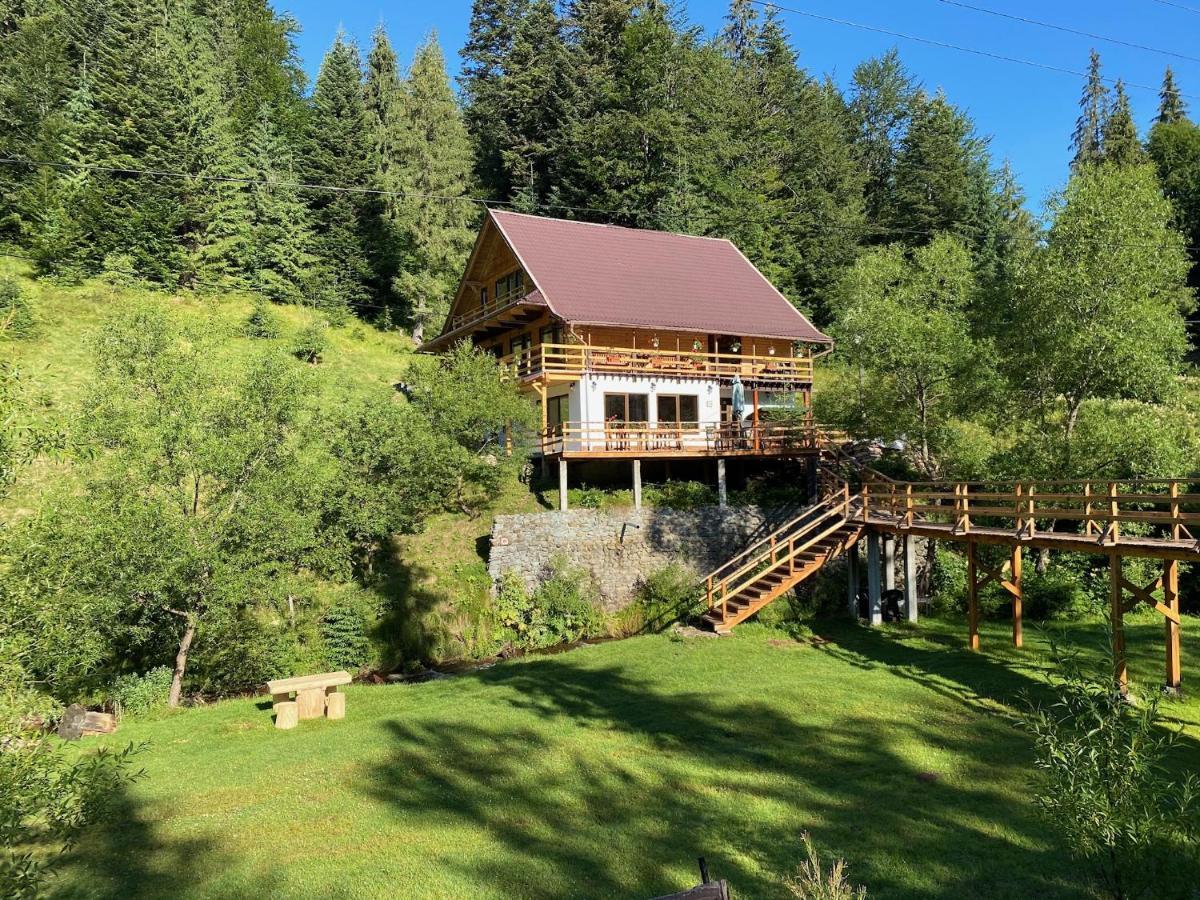 Cabana Cota 1000 Арьешени Экстерьер фото